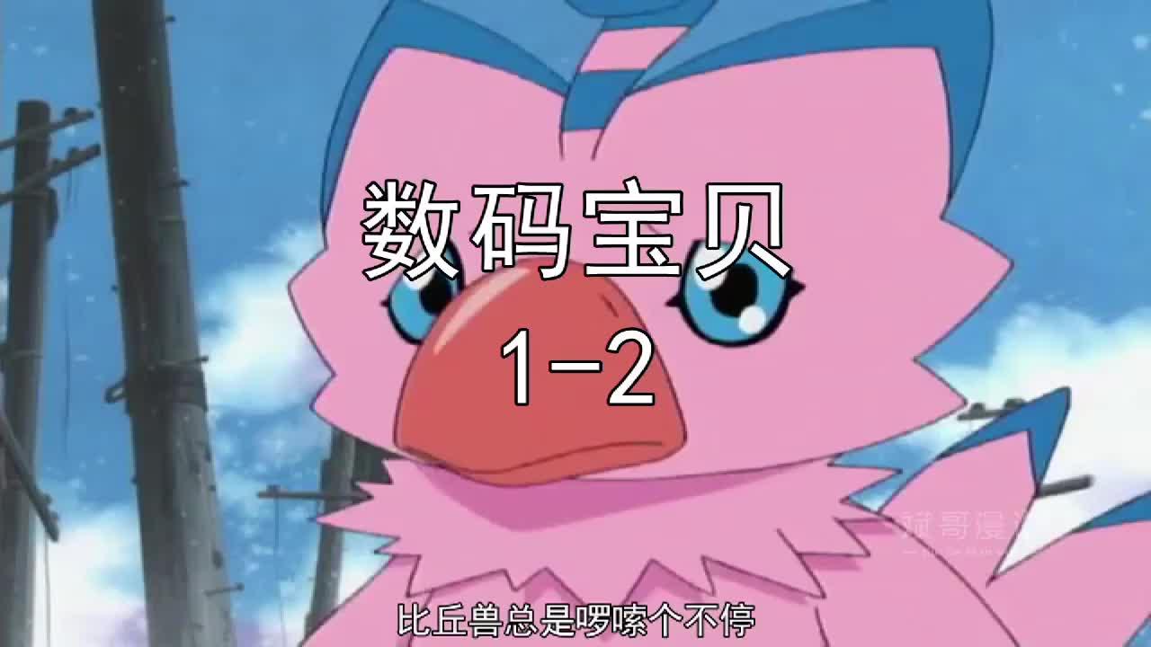 《数码宝贝》_斌哥速看《数码宝贝》12batch