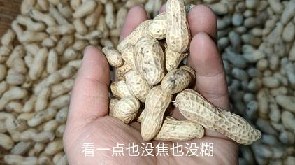 炒带壳花生方法视频 西瓜视频