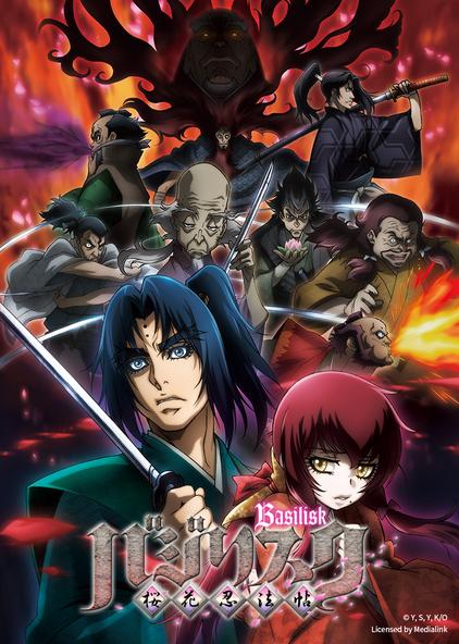 甲贺忍法帖2无删减 西瓜视频