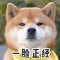 等闲人q0 头像